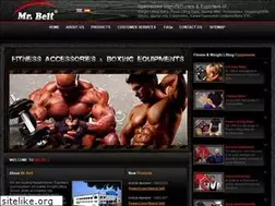 Sites similar to mrbelt.com