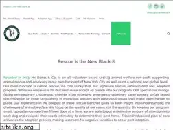 Sites similar to mrbonesandco.org