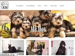 Sites similar to mrdog.pl
