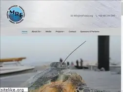 Sites similar to mrf-asia.org