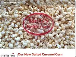Sites similar to mrgskettlecorn.com