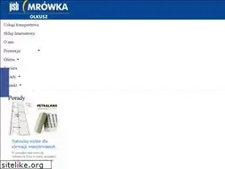 Sites similar to mrowkaolkusz.pl