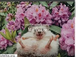 Sites similar to mrpokee.com