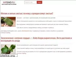 Sites similar to mrsad.ru