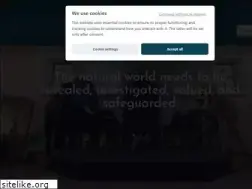 Sites similar to mrsntorino.it