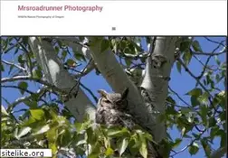Sites similar to mrsroadrunner.com