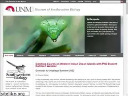 Sites similar to msb.unm.edu
