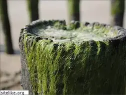 Sites similar to mscologne.de