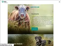 Sites similar to msd-animal-health-me.com