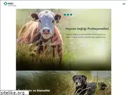 Sites similar to msd-hayvan-sagligi.com