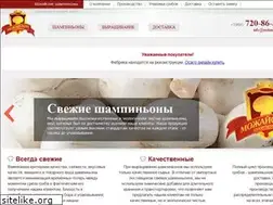 Sites similar to mshamp.ru