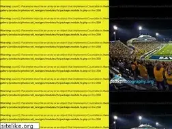 Sites similar to msucats.com