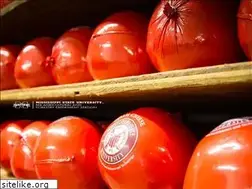 Sites similar to msucheese.com