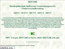 Sites similar to msvt.de