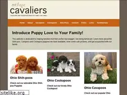 Sites similar to mthopecavaliers.com
