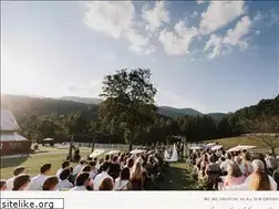 Sites similar to mtnlaurelfarm.com