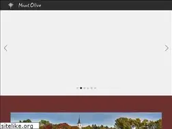 Sites similar to mtolive-anoka.org