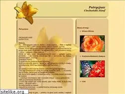 Sites similar to mtw.waw.pl