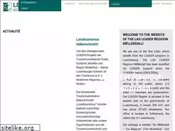 Sites similar to mu.leader.lu