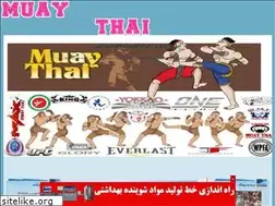 Sites similar to muaythai90.blogfa.com