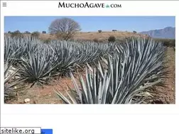 Sites similar to muchoagave.com