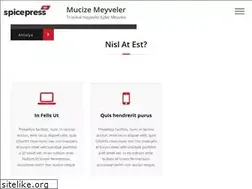 Sites similar to mucizemeyveler.com