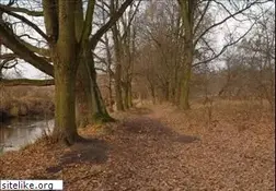 Sites similar to mud.pl