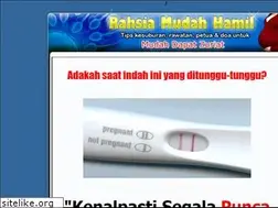 Sites similar to mudahhamil.com