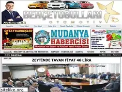 Sites similar to mudanyahabercisi.com