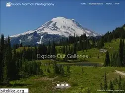 Sites similar to muddymarmotsphotography.com