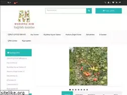 Sites similar to mudurnu.com