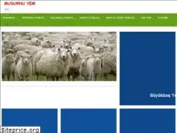Sites similar to mudurnuyem.com