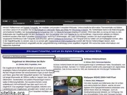 Sites similar to muehlstein-online.de