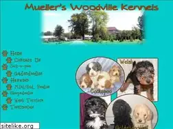 Sites similar to muellerswoodvillekennels.com