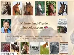 Sites similar to muensterland-pferde.de