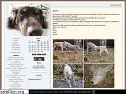 Sites similar to muesli1902.de
