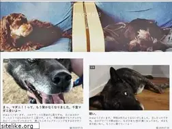 Sites similar to mugiyuki.tokyo