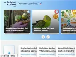 Sites similar to muhabbetkuslari.net