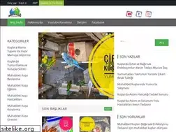 Sites similar to muhabbetkuslaridunyasi.com