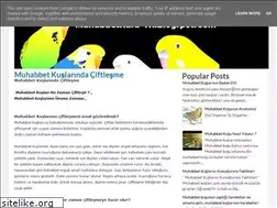 Sites similar to muhabbetkusu-tr.blogspot.com
