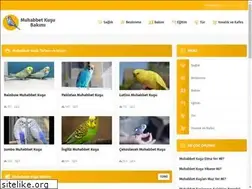 Sites similar to muhabbetkusubakimi.com