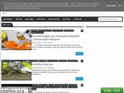 Sites similar to muhabbetkusuuretim.blogspot.com