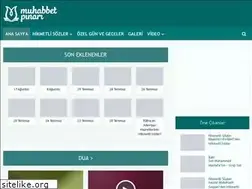 Sites similar to muhabbetpinari.com