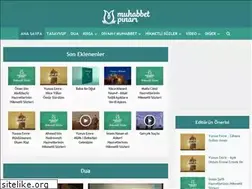 Sites similar to muhabbetpinari.net