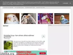 Sites similar to muhabbetshop.blogspot.com