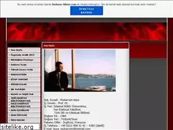 Sites similar to muharremkayamsgsu.tr.gg