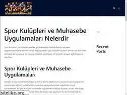 Sites similar to muhasebedergisi.com