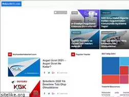 Sites similar to muhasebetl.com