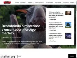 Sites similar to muitocurioso.org