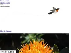 Sites similar to muitotudo.com